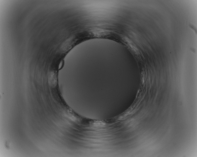 X0000097490471200803142001