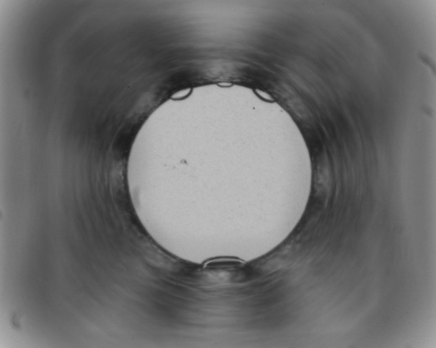 X0000097490473200803142001