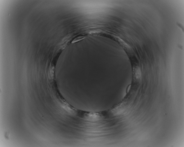 X0000097490475200803142001