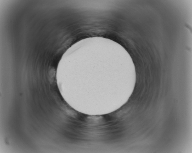 X0000097490480200803142001