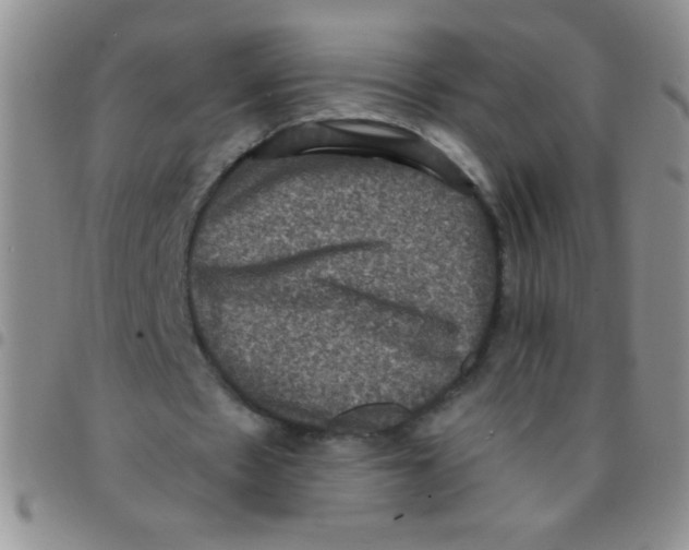 X0000097490481200803142000