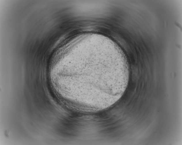 X0000097490482200803142000