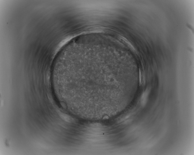 X0000097490483200803142000