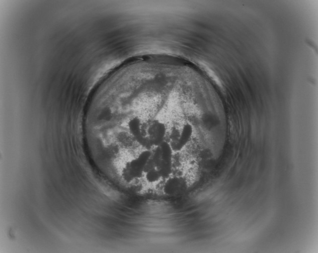 X0000097490487200803142000