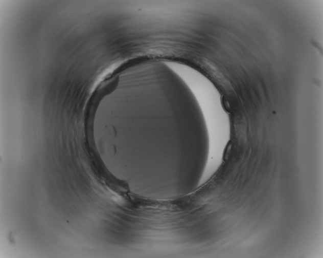 X0000097490488200803142000