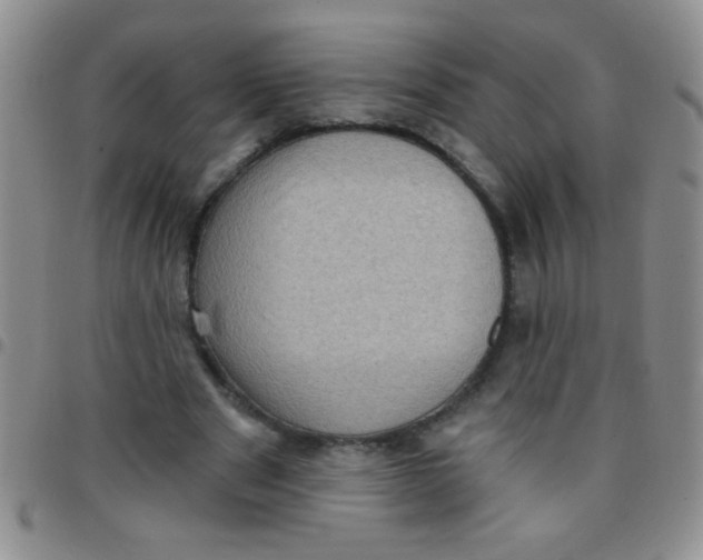 X0000097490489200803142000