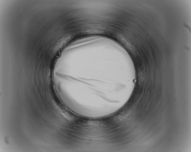 X0000097490490200803142000