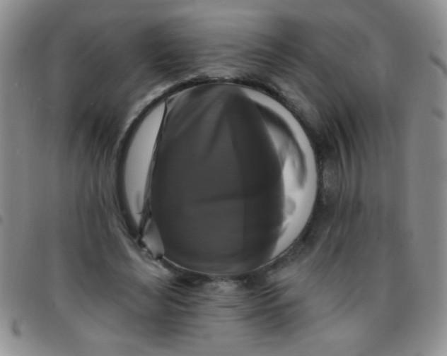 X0000097490492200803142000