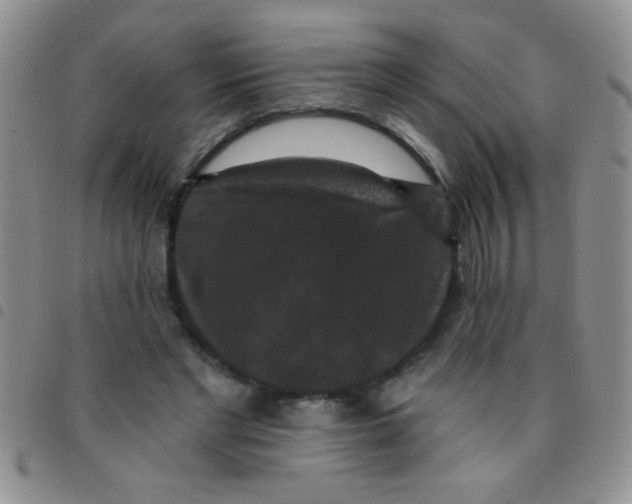 X0000097490493200803142000