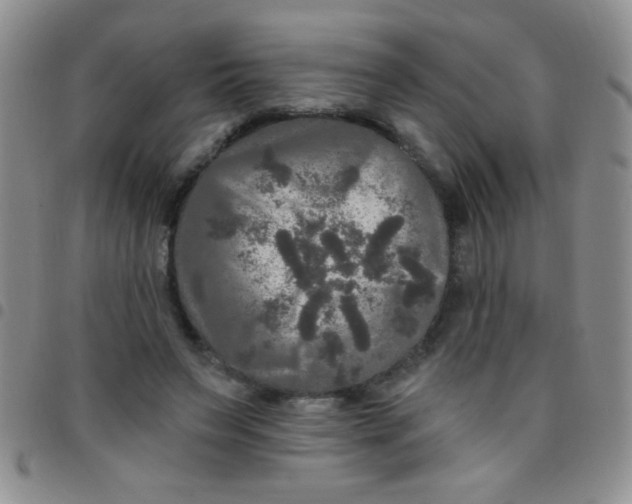 X0000097490495200803142000