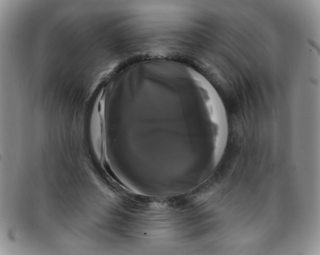 X0000097490496200803142000