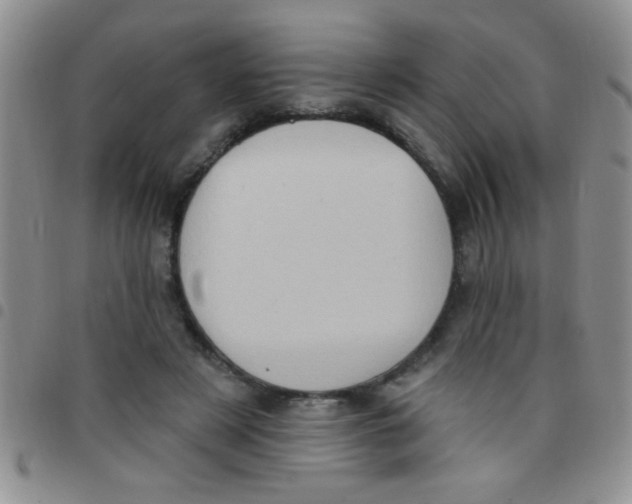 X0000097490497200803142000