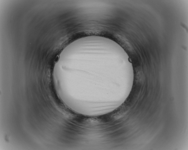 X0000097490498200803142000