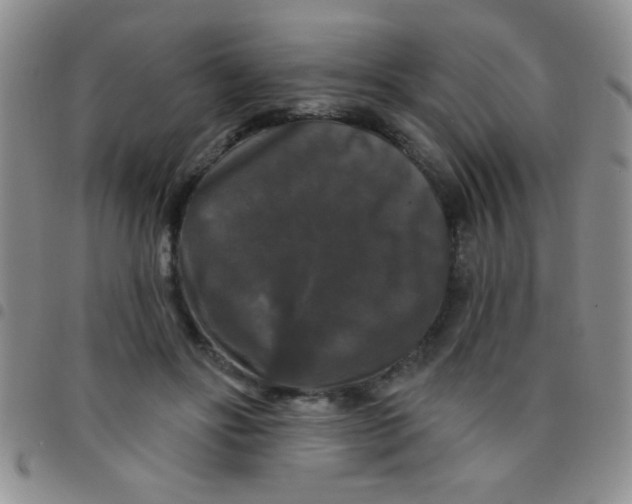 X0000097490502200803142000