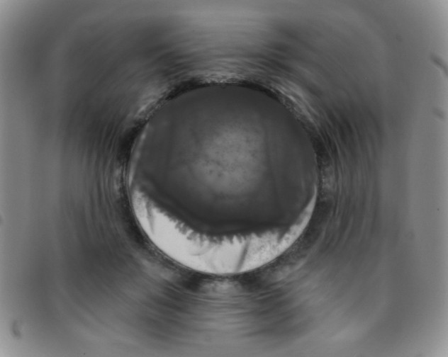 X0000097490503200803142000