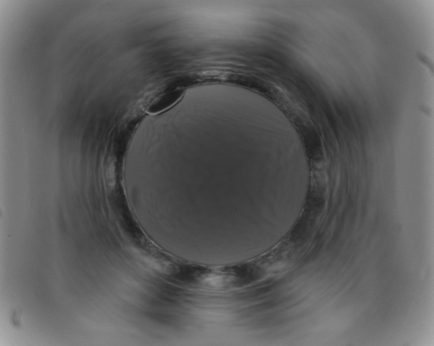 X0000097490504200803142000