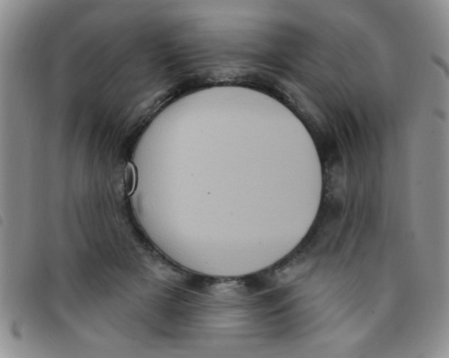 X0000097490505200803142000