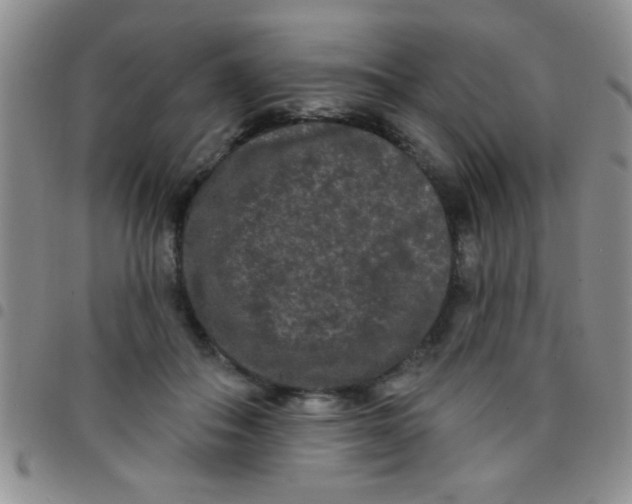 X0000097490506200803142000