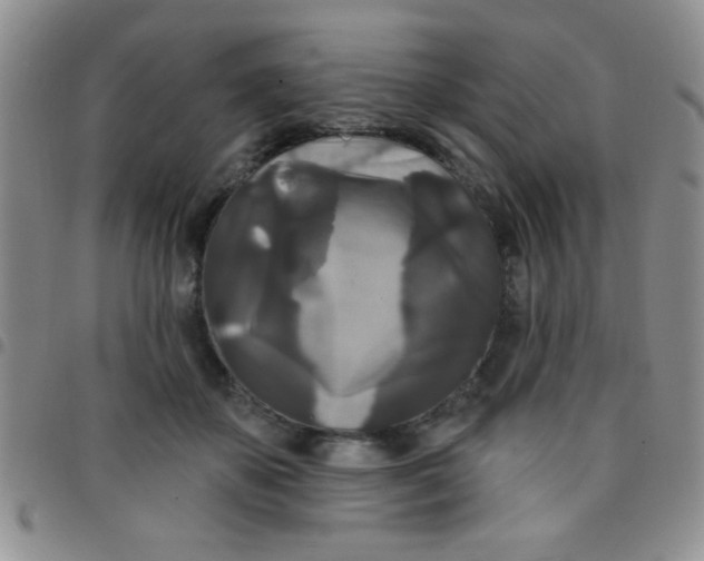 X0000097490507200803142000