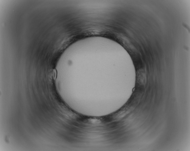 X0000097490509200803142000