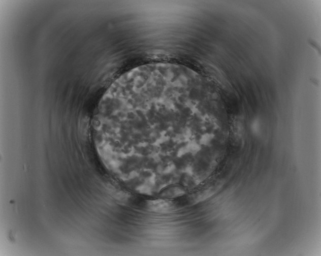 X0000097490511200803142000