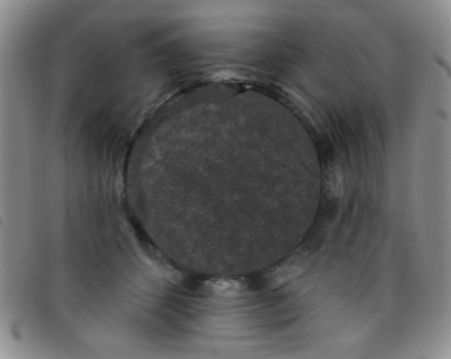 X0000097490512200803142000