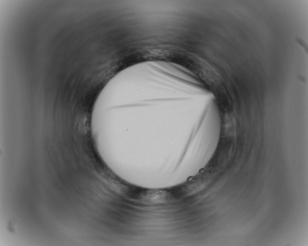 X0000097490514200803142000