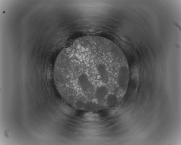 X0000097490515200803142000