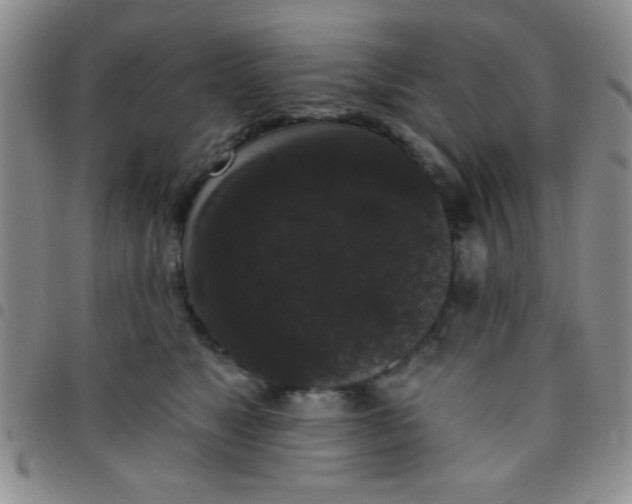 X0000097490517200803142000