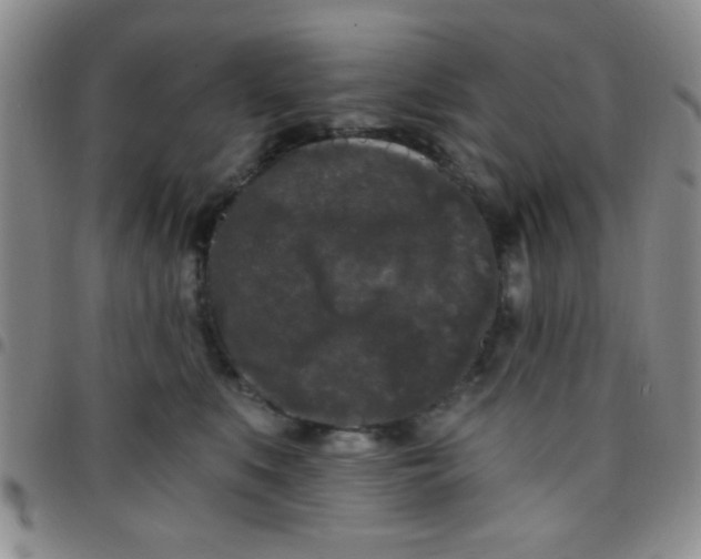 X0000097490519200803142000