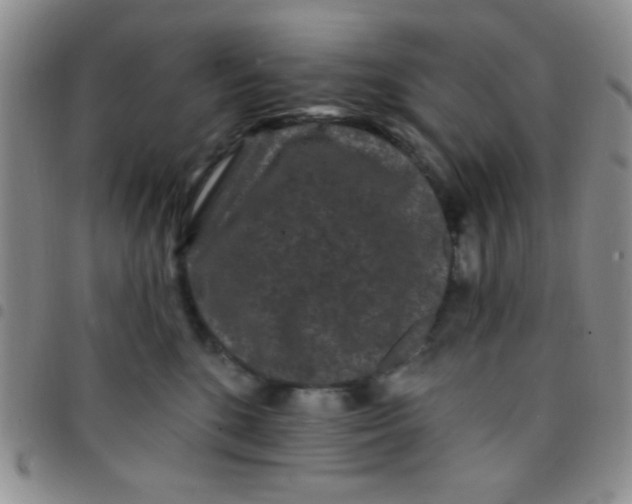 X0000097490520200803142000