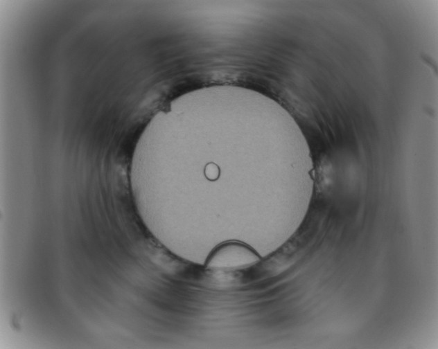 X0000097490522200803142000