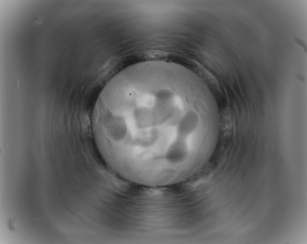 X0000097490523200803142000