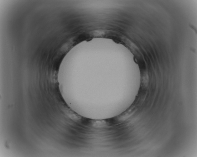 X0000097490525200803142000