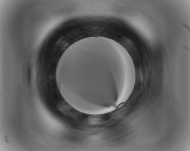 X0000097490526200803142000