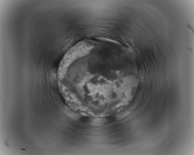 X0000097490527200803142000