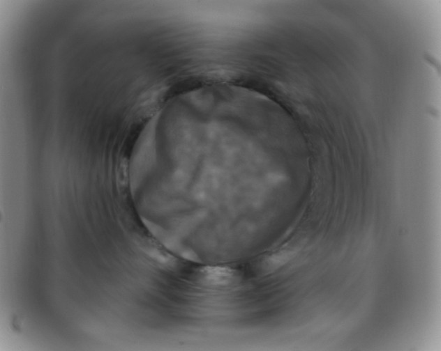 X0000097490528200803142000