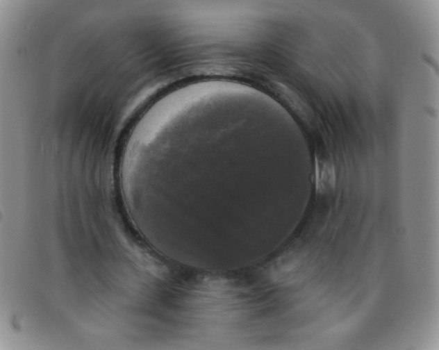 X0000097490531200803141959