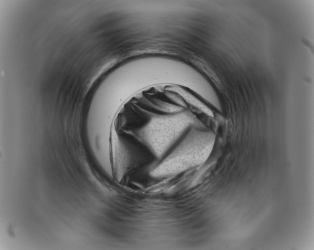 X0000097490534200803141959