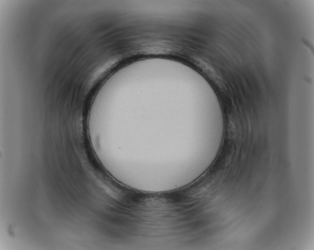 X0000097490535200803141959