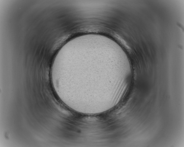 X0000097490537200803141959