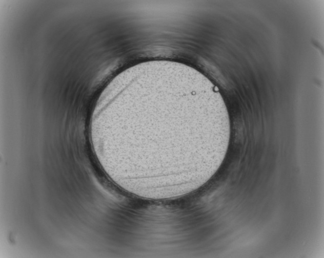 X0000097490538200803141959