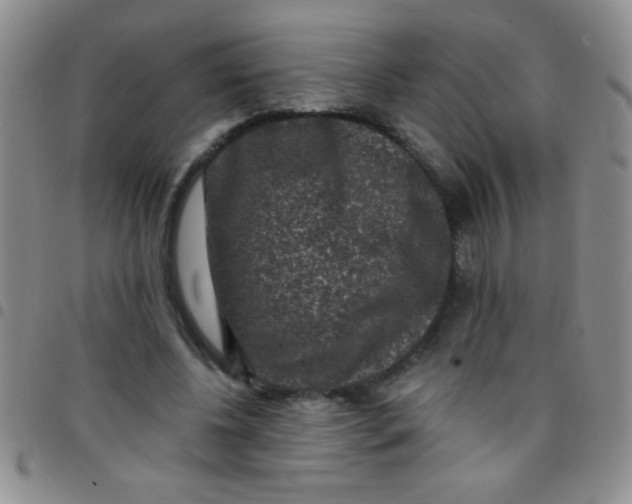 X0000097490540200803141959