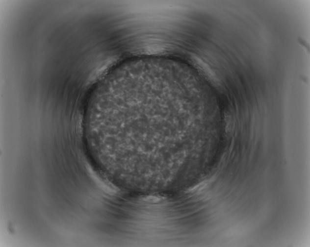 X0000097490542200803141959