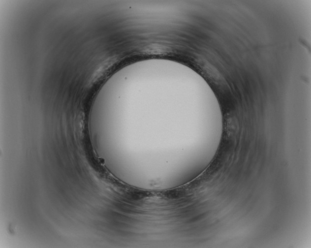 X0000097490544200803141959