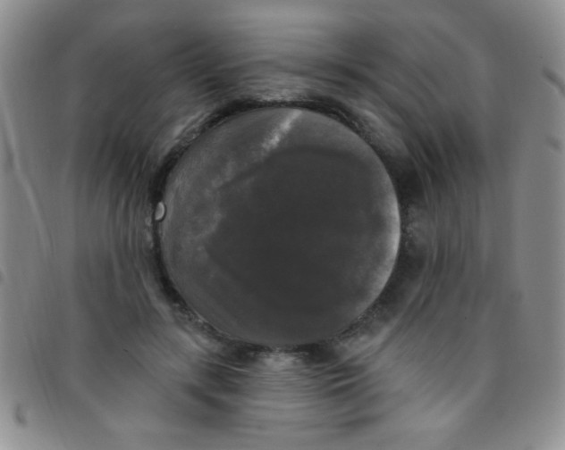 X0000097490547200803141959