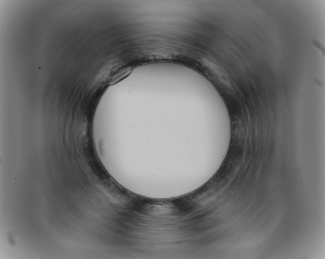 X0000097490548200803141959