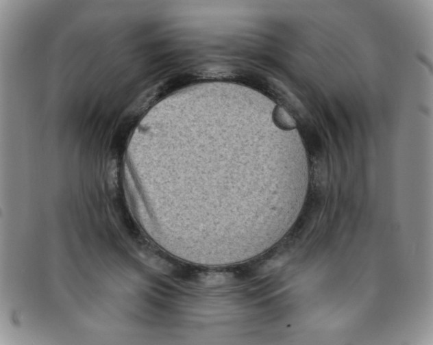 X0000097490549200803141959