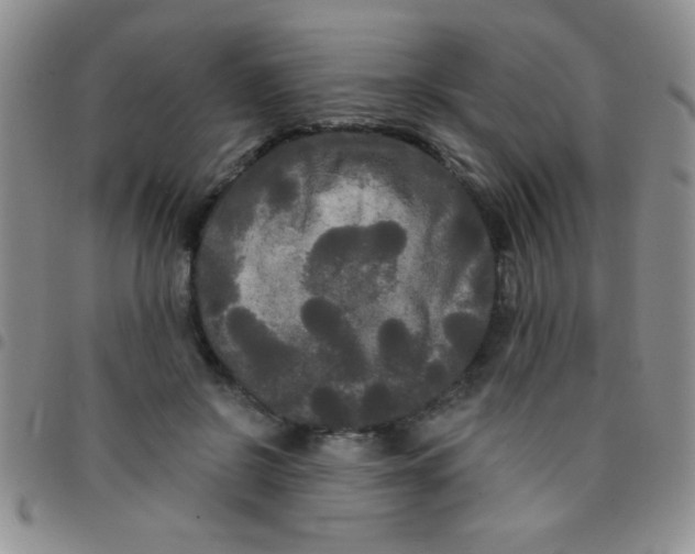 X0000097490550200803141959