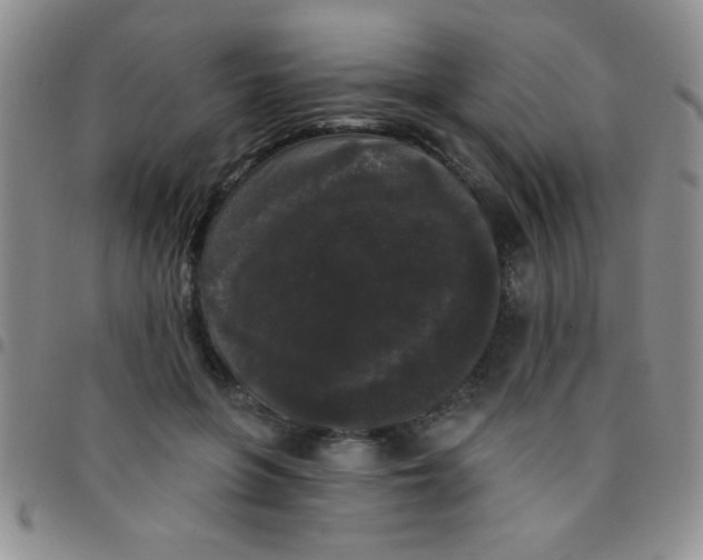 X0000097490551200803141959